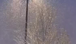 下雪的视频,冬日雪景视频赏析