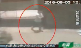 美女成人视频,一场视觉与情感的盛宴